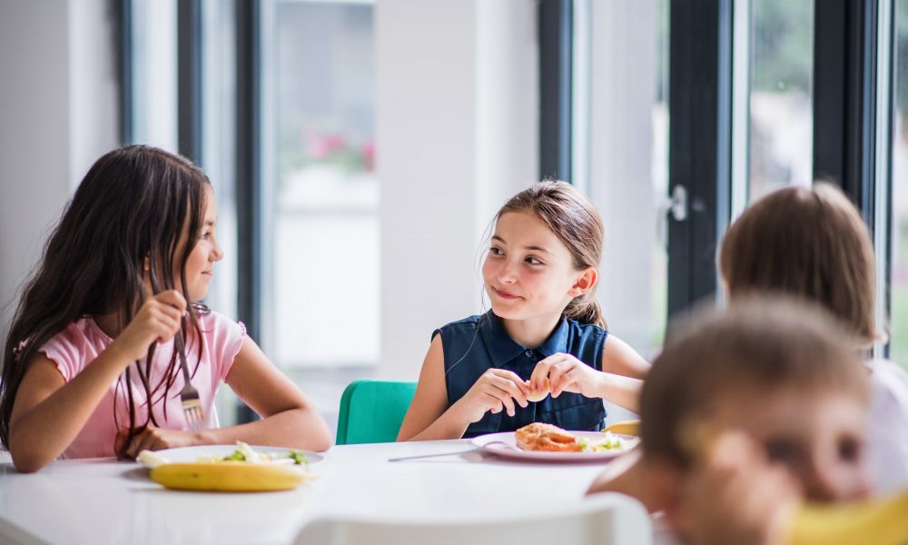 Заклади освіти зможуть самі обирати модель організації харчування - LexInform: Правові та юридичні новини, юридична практика, коментарі