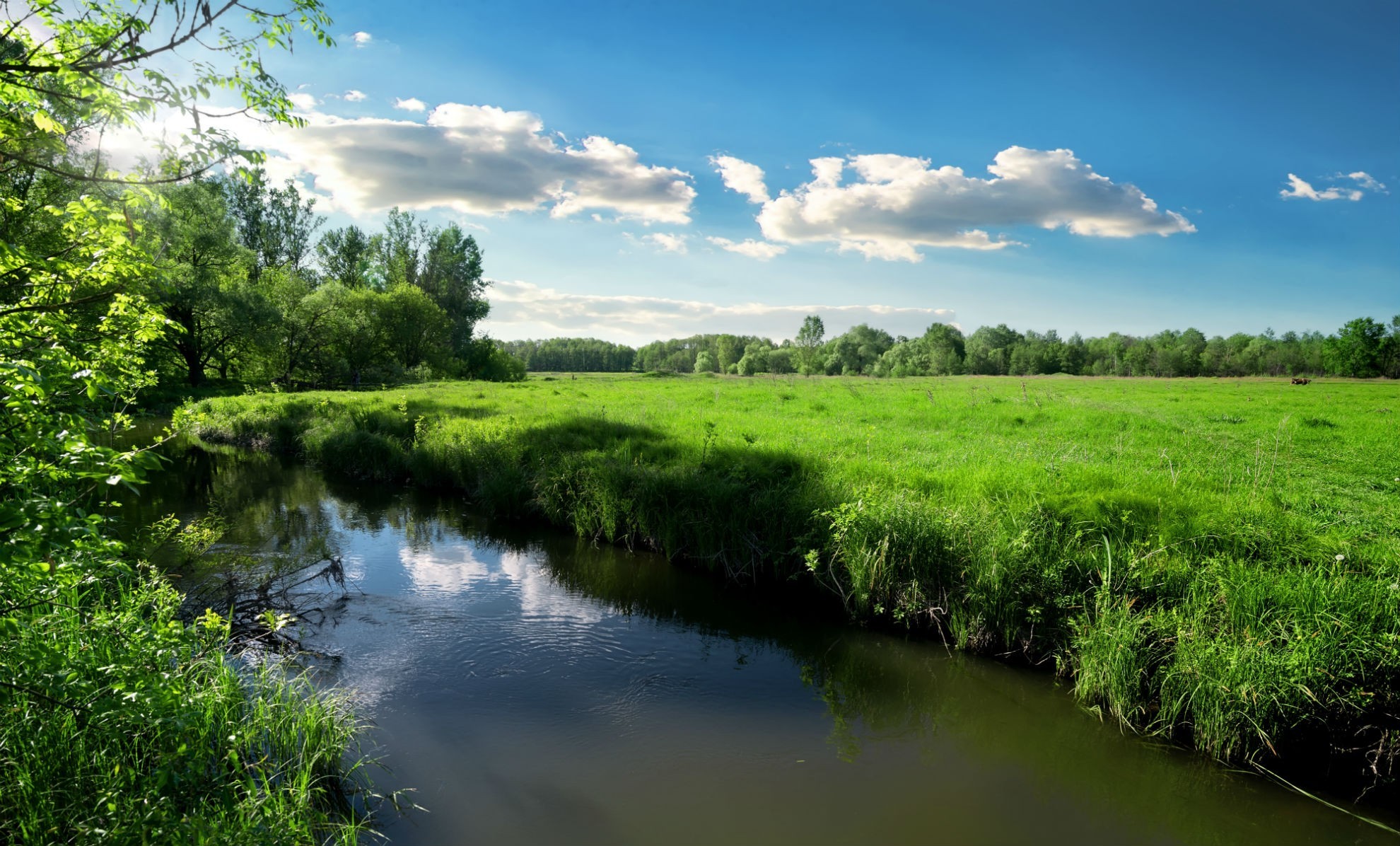 Река массу. Field River.