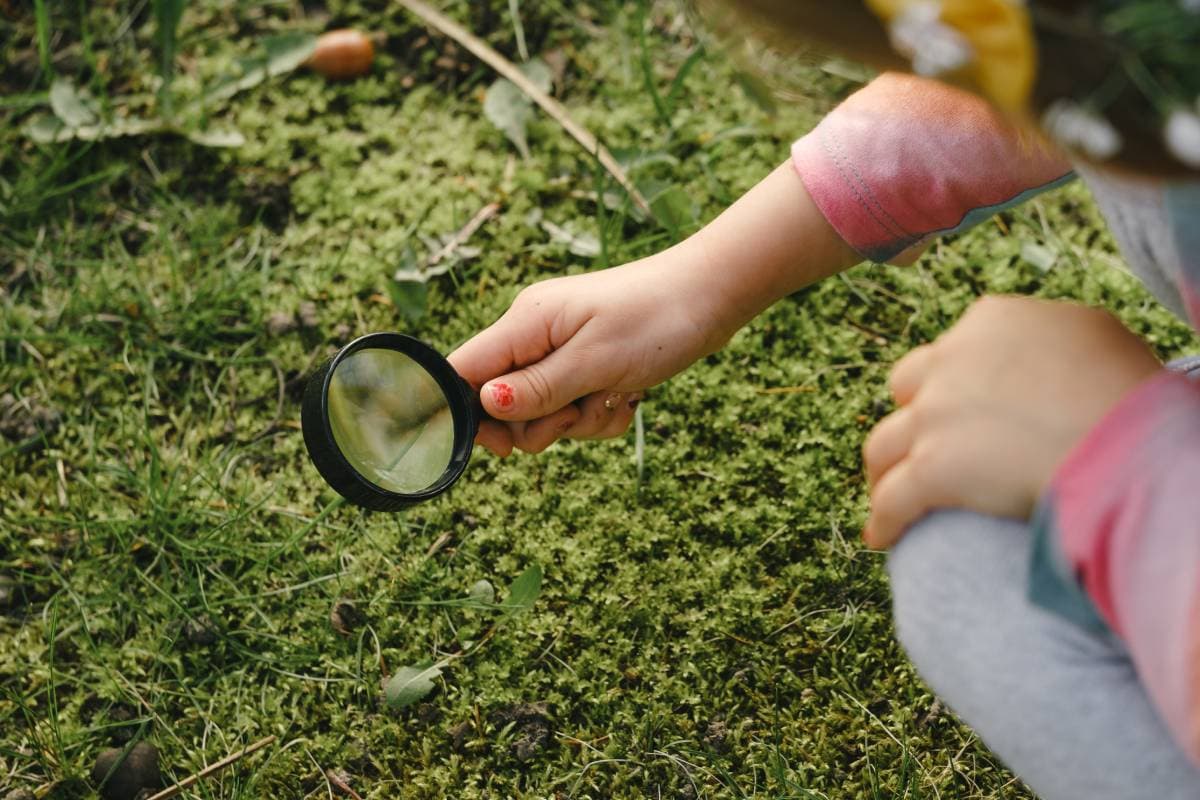 exploring-nature-with-magnifying-glass-2023-11-27-05-28-13-utc (1) (1)